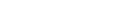 Logo Netdata blanco