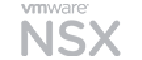 NSX-1